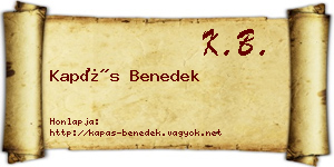Kapás Benedek névjegykártya
