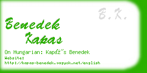 benedek kapas business card